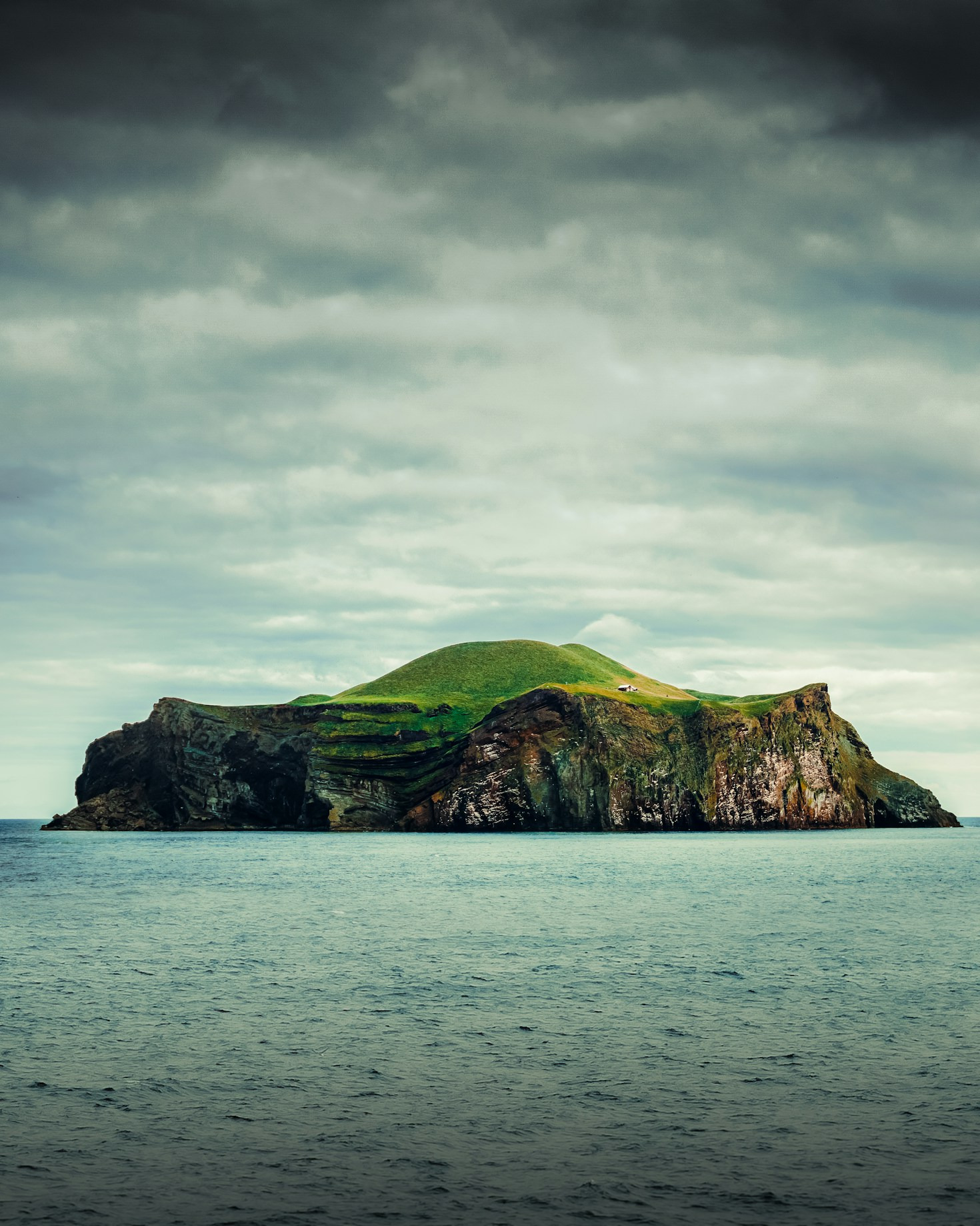 Why Protecting Island Biodiversity Matters Today