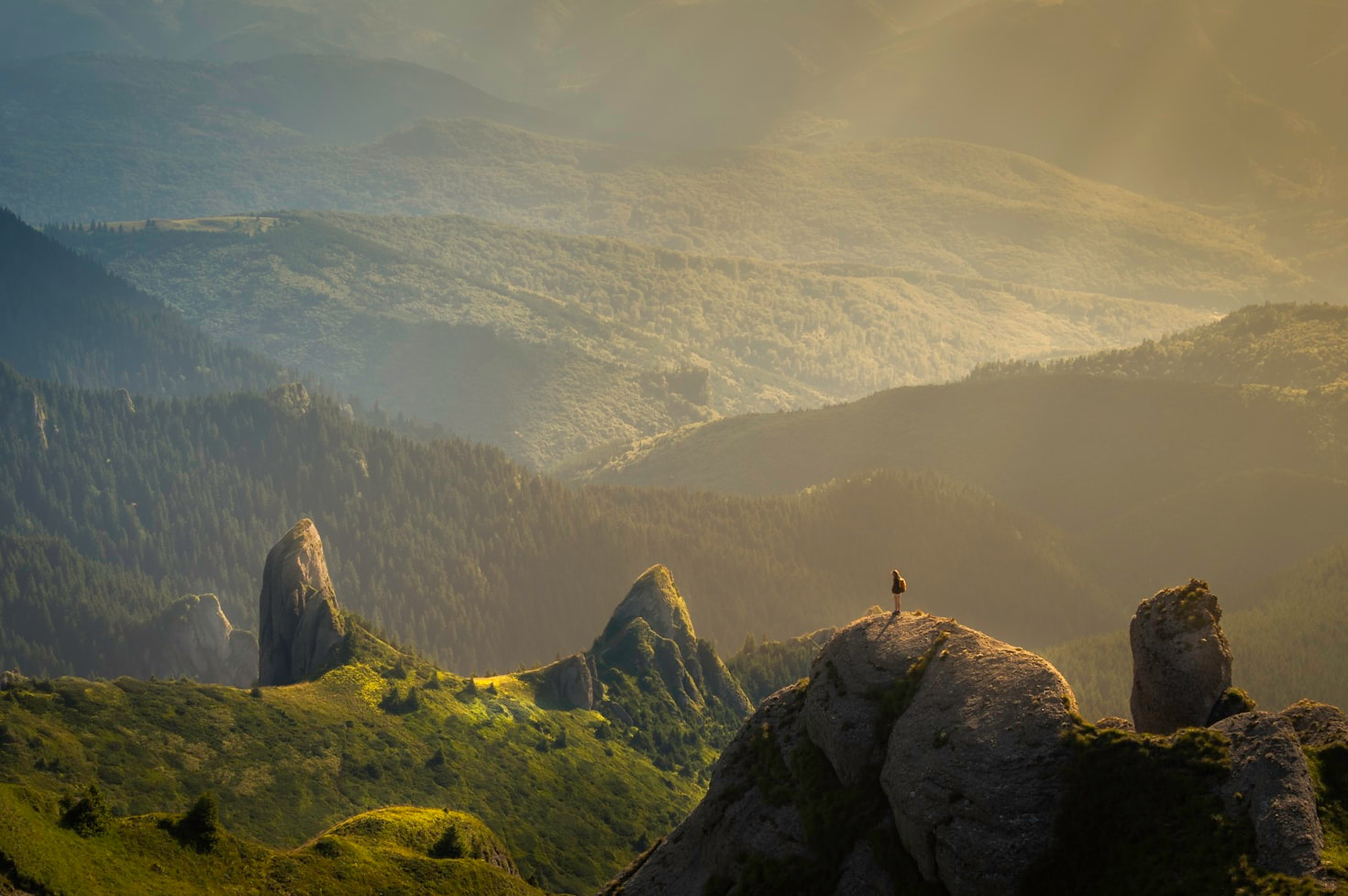 The Hidden Wonders Found In Remote Ecosystems